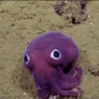 Octocuddle 5 voice changer