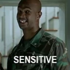 sensitive voice changer