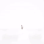 glitched caine...less static voice changer