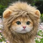 Deeeeeppp voiceeee voice changer