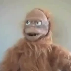 Robo Monkey voice changer