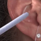 Destroy Em Ears voice changer