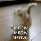 meow meow voice changer