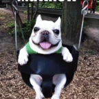 matthew voice changer