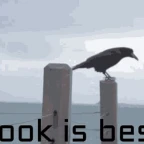 ROOK voice changer