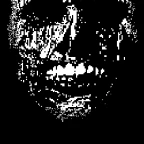 Nmi fanmade voice changer