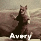 Avery voice changer