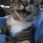 test01 voice changer