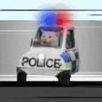 police voice changer