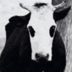 creature voice changer