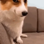 hehehe voice changer