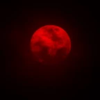 Testing Bloodmoon voice changer