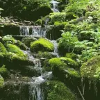 Stream voice changer