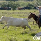 Rancher voice changer