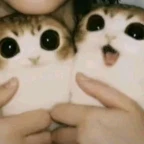 synking voice changer