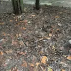 Radio-Bunker voice changer