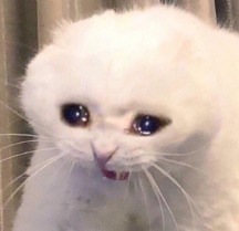 Michal dont leave voice changer