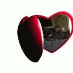 Copy clen voice changer