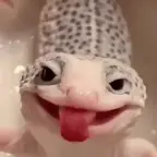 Tritone voice changer