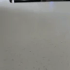 GOOGOOGAGA voice changer