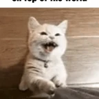 diddy done diddy voice changer