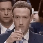 Mark Zuckeberg voice changer