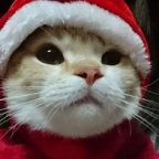 Pico 4 Microphone Kinda? voice changer