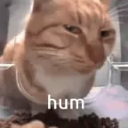 little kid voice changer