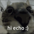 echo voice changer