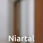 (Copy) My New Evil  Voice voice changer