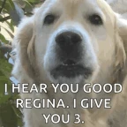 Regina the Third voice changer