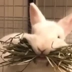 bluudud for kid :D voice changer