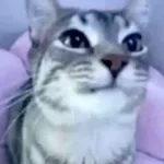 LORENZO - Instagram  ЛОРЕНЦО - Инстаграм - Sound