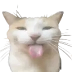 Random voice idk voice changer