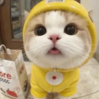 My Egirl voice changer