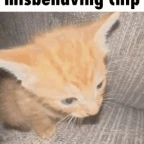 chipchip voice changer