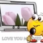 mine karaoke voice changer