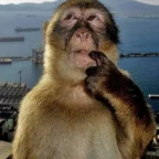 ftm (wip) voice changer