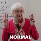 normal voice changer