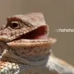 HEHEHE voice changer