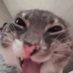 Gas mask voice changer