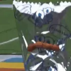 Poptart voice changer