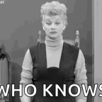 Who Knows voice changer