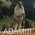 Adam voice changer