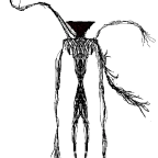 Integrity voice changer