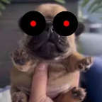 PIBBLE.2011x voice changer