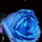 bluudud voice changer