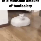 tomfoolery voice changer