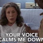 Intercom Voice voice changer