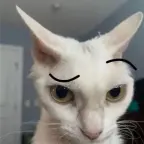 COD Mic voice changer